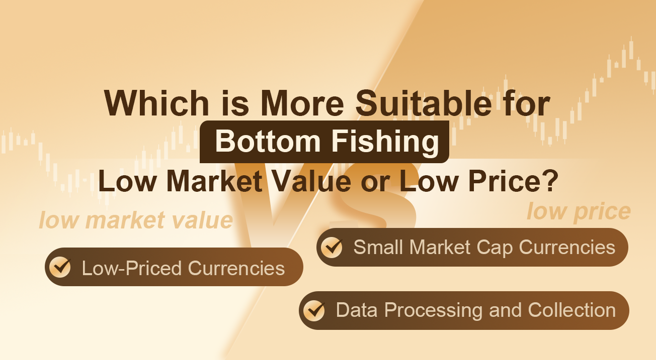 Which is More Suitable for Bottom Fishing, Low Market Value or Low Price?